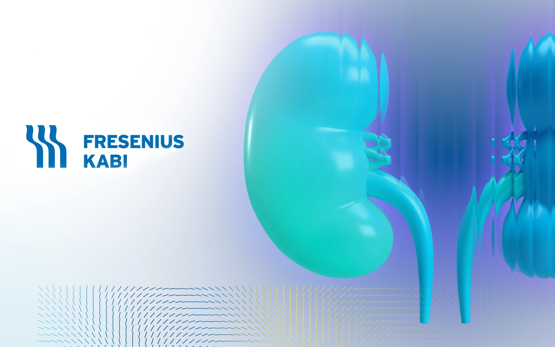 Renal Webinar