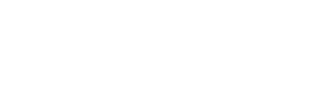 MVSI Managed Verification Services International logo in white.