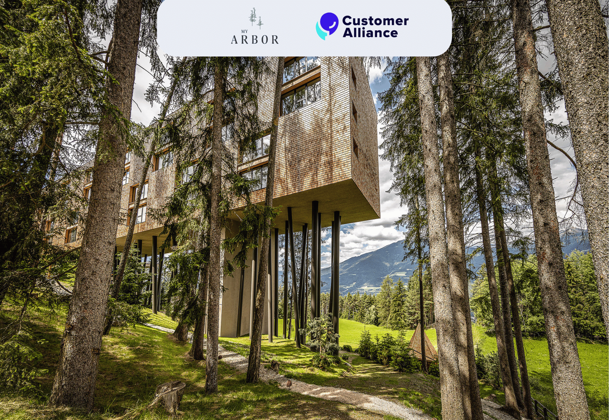 How My Arbor Hotel increased Google reviews by 55% with Customer Alliance and Re:Guest