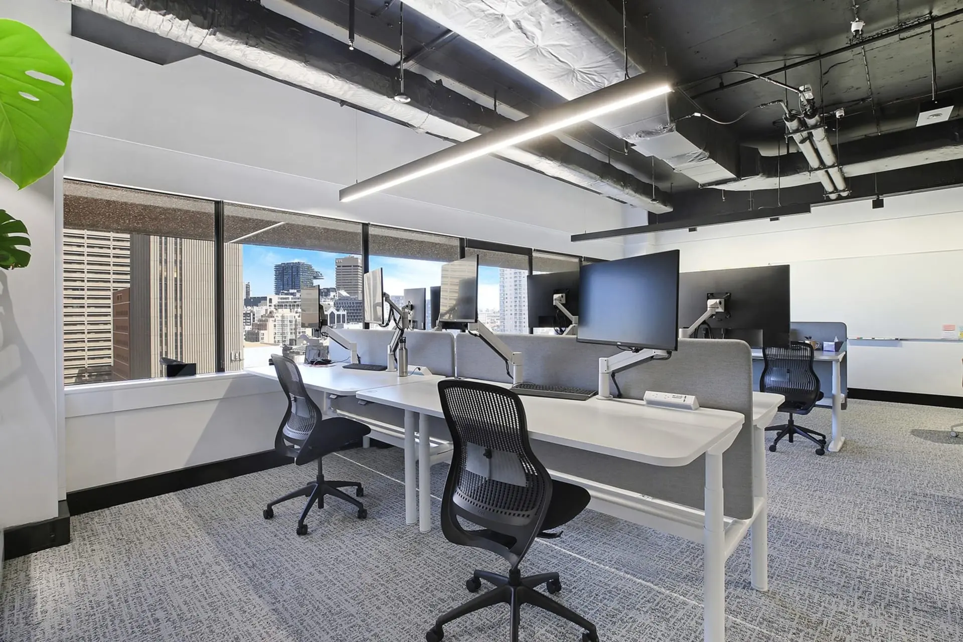 24 Campbell Street, Sydney NSW 2000