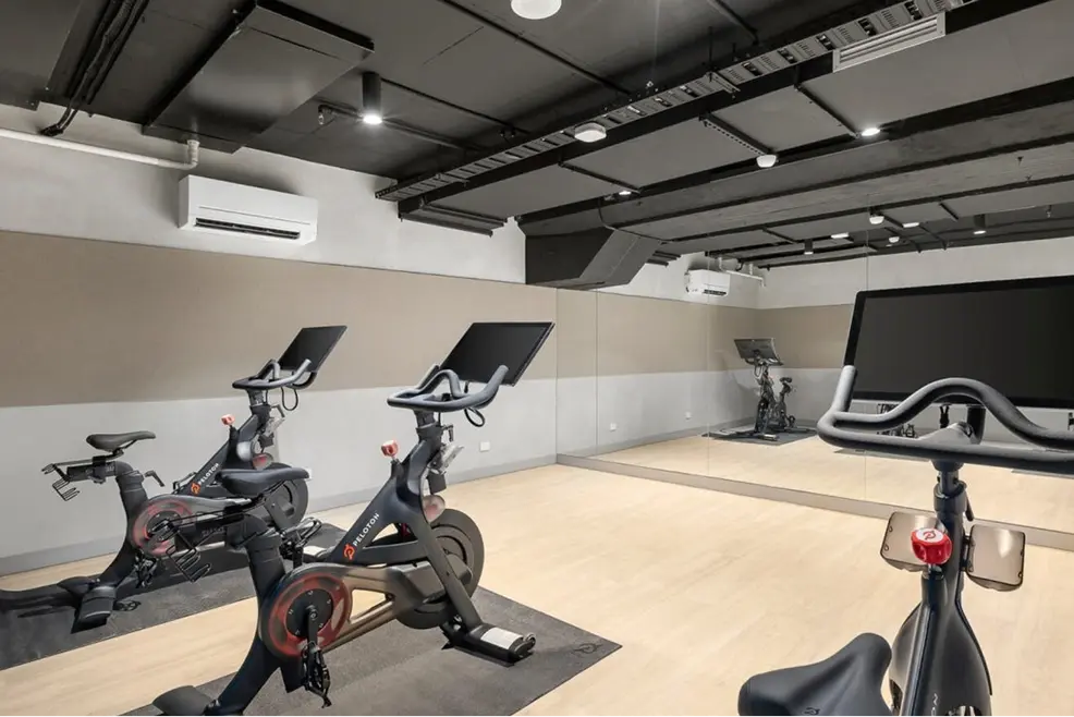 Wellness