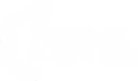 link to partner site