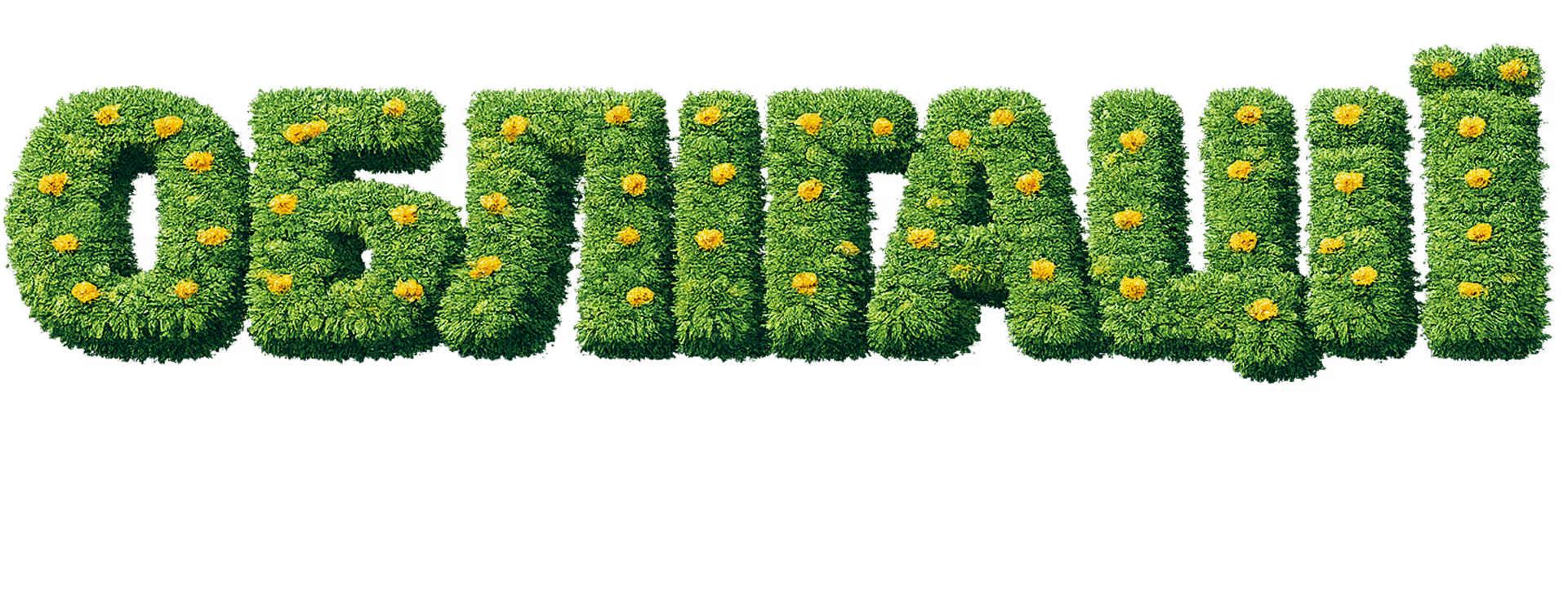 The word 'ОБЛІГАЦІЇ' styled in green grass.