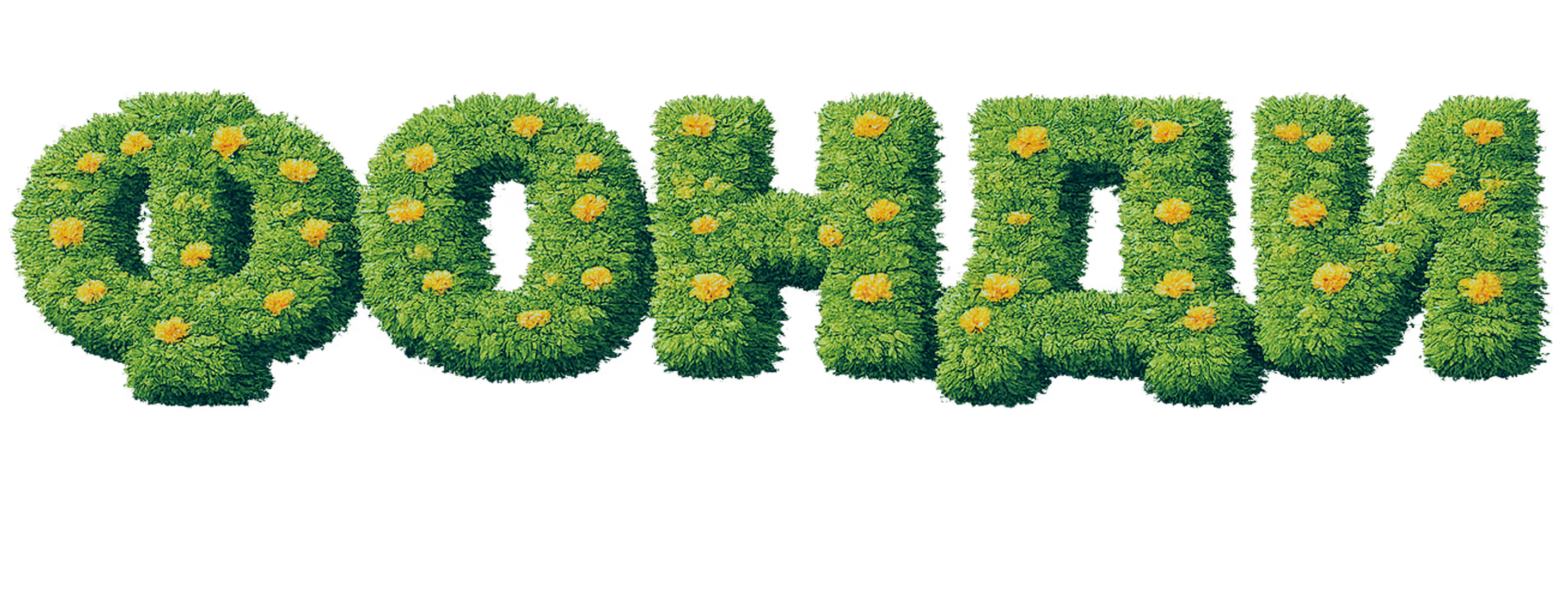 The word 'BANK' made of green grass.