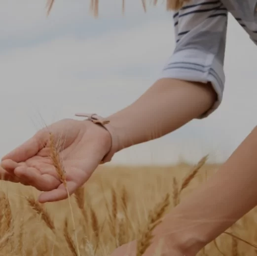 A person on a wheat field.