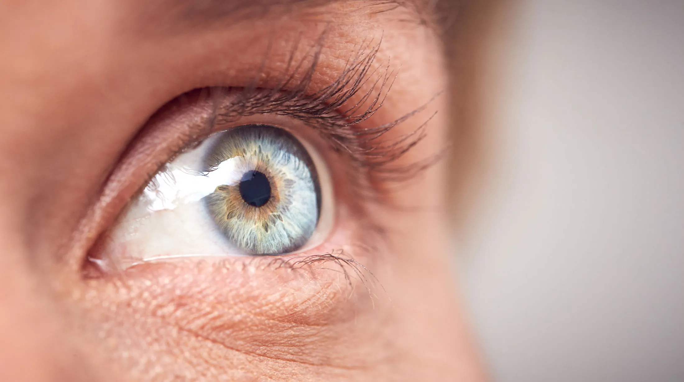 Close-up of a blue and hazel human eye with dark lashes and clear iris detail.