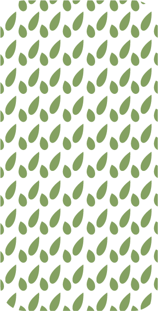 déclinaison d'une identité graphique, typologies et motifs