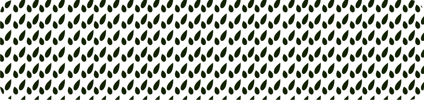 déclinaison d'une identité graphique avec xemple de graisses et de styles d'une typologie