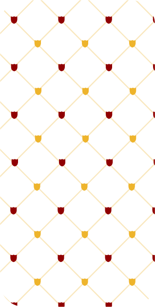 déclinaison d'une identité graphique, typologies et motifs