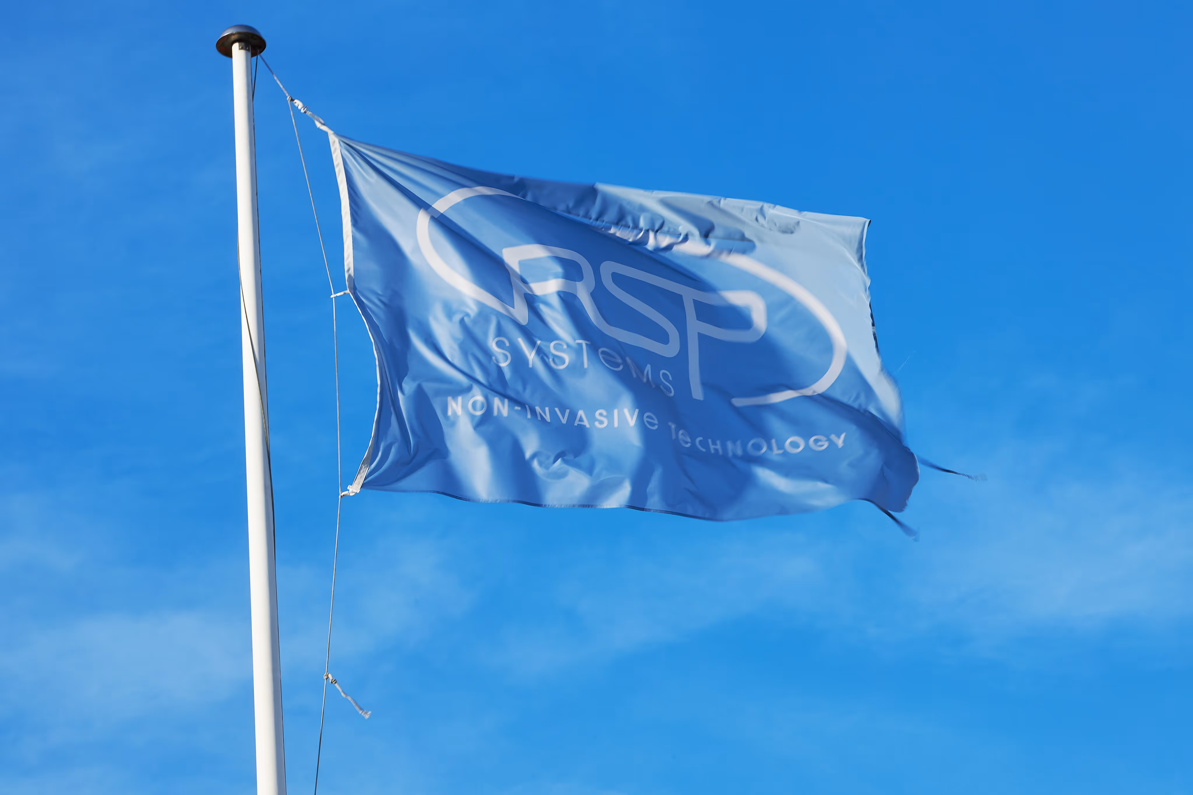 The RSP System flag