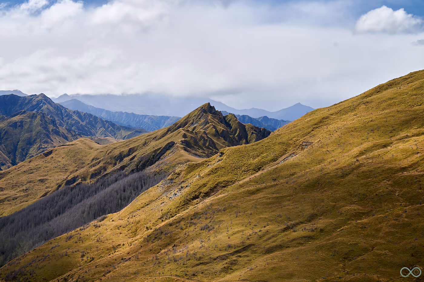 image of a main course assortment for a chinese restaurant