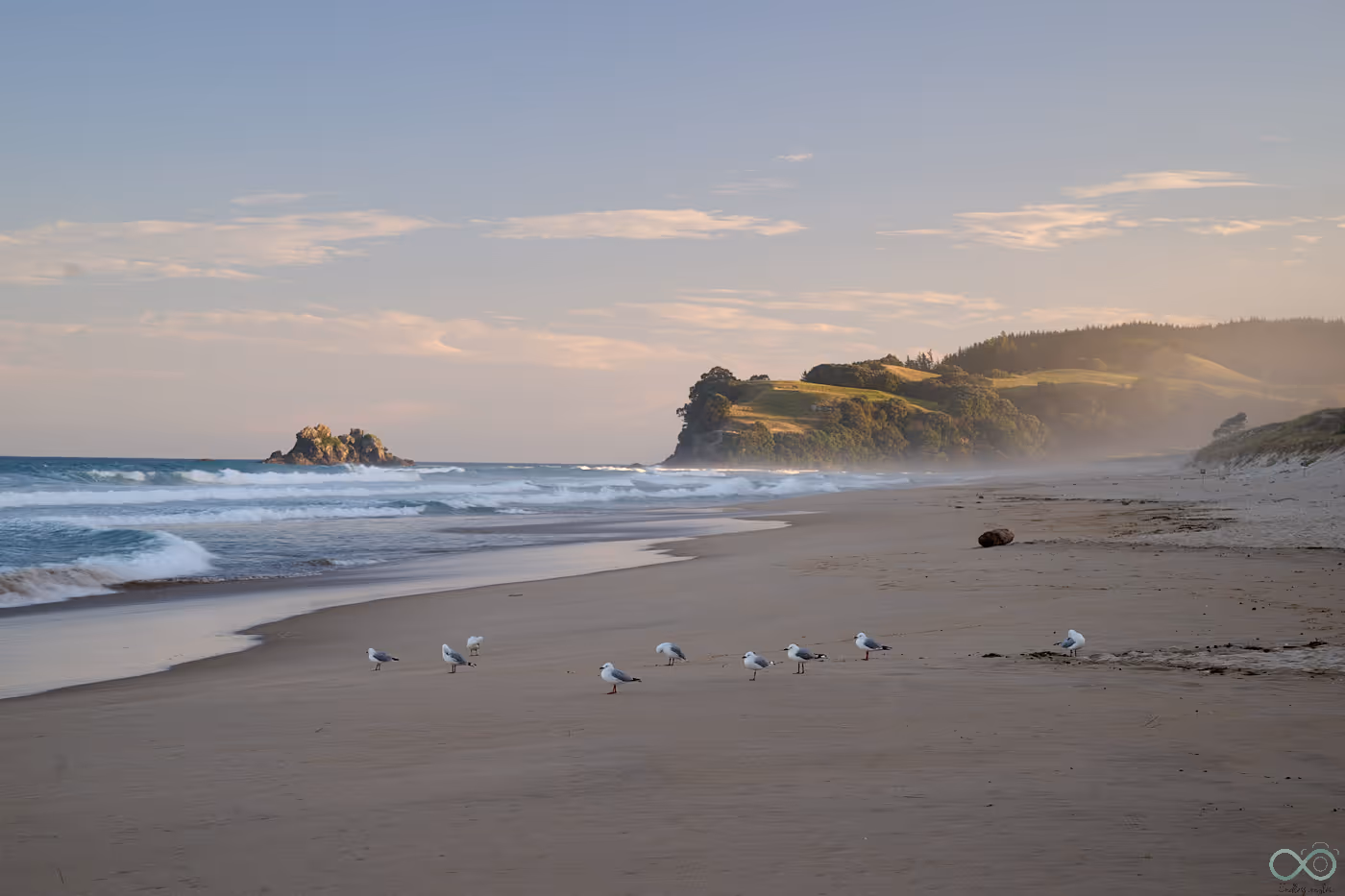 image of signature dishes for a japanese restaurant