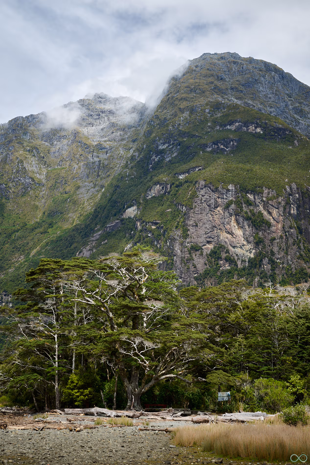 Milford Sound, Neuseeland – Fjord mit Wasserfällen und Bergen