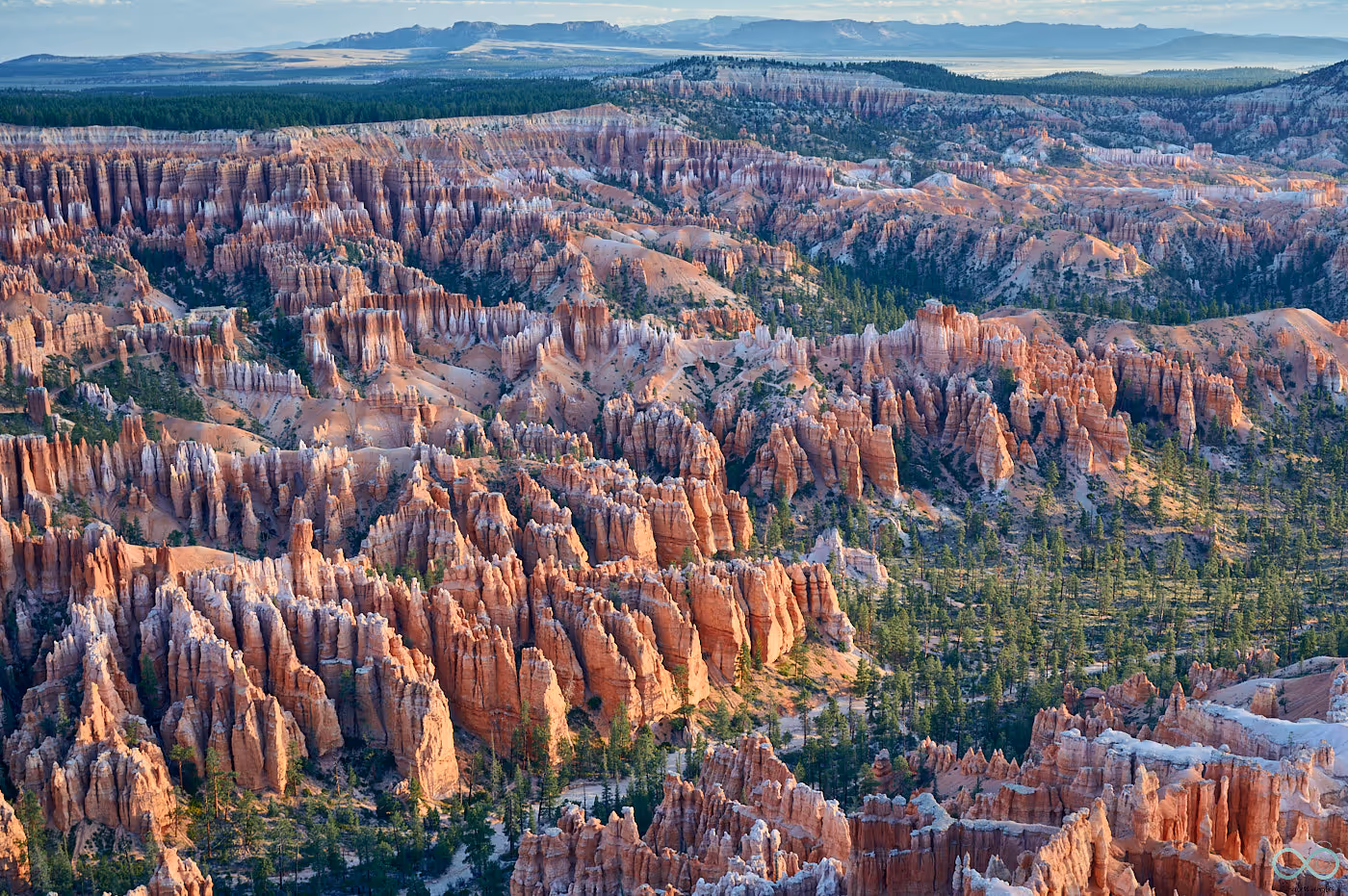 Bryce Canyon Nationalpark, Utah, USA – orangefarbene Hoodoos
