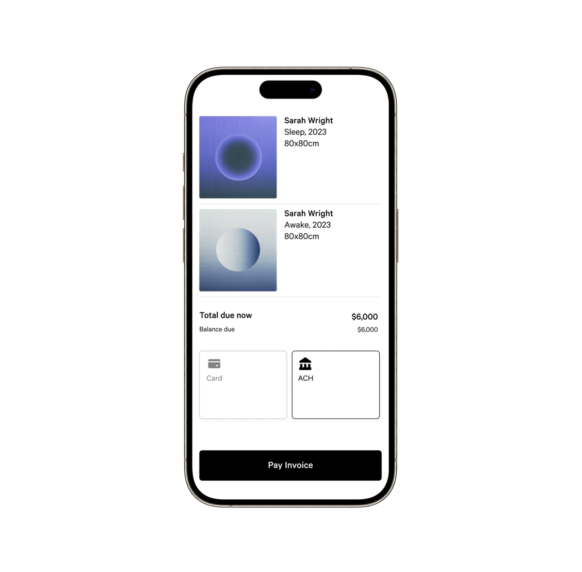 Artlogic Pay Page