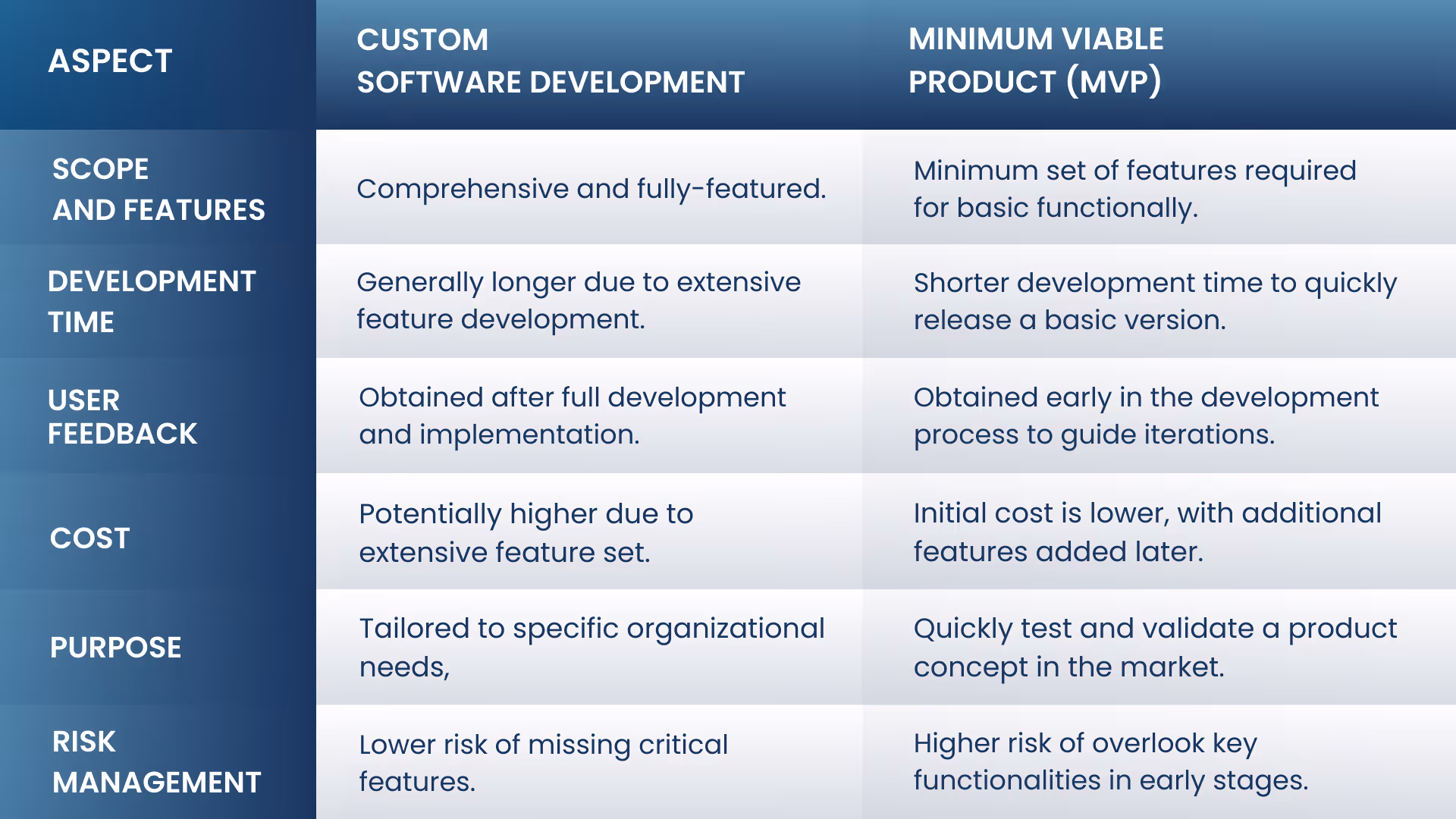 Custom Software Development vs MVP