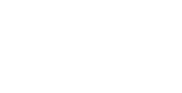 Digital Campaigns