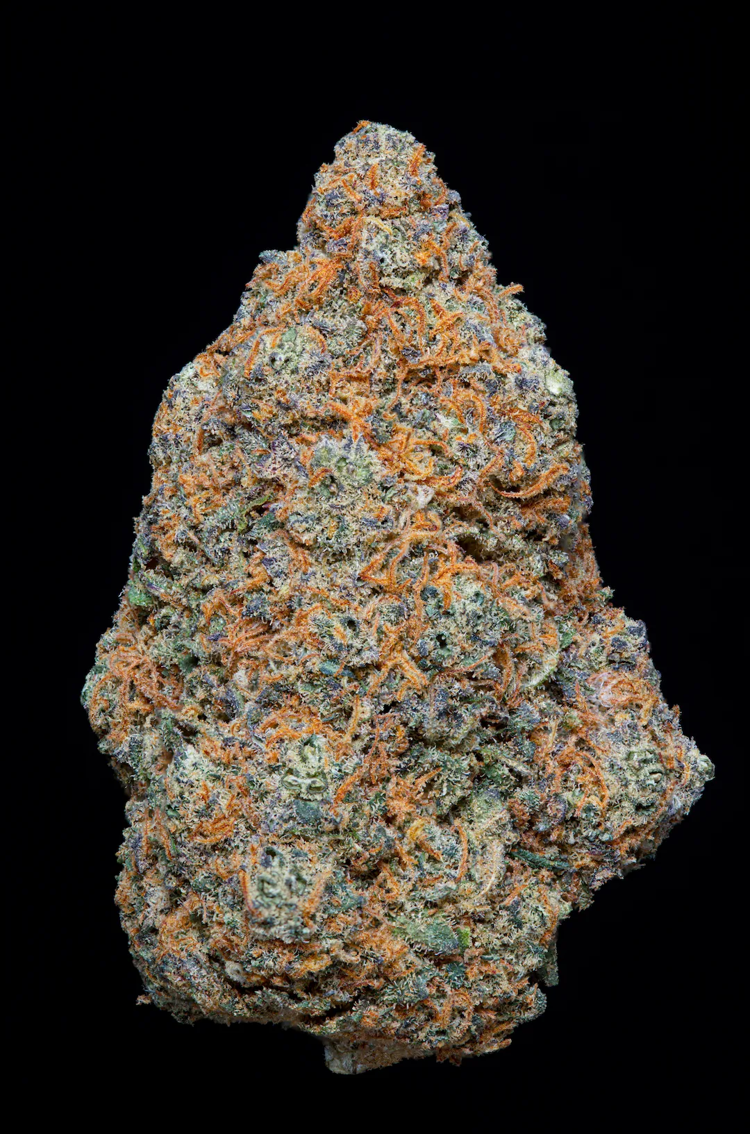 Tropic Frost