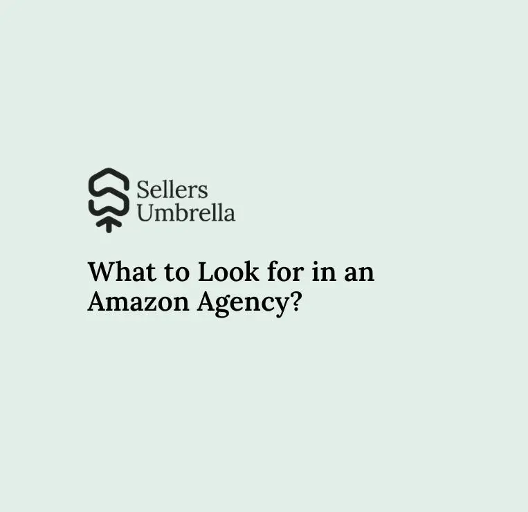 What to Look for in an Amazon Agency?