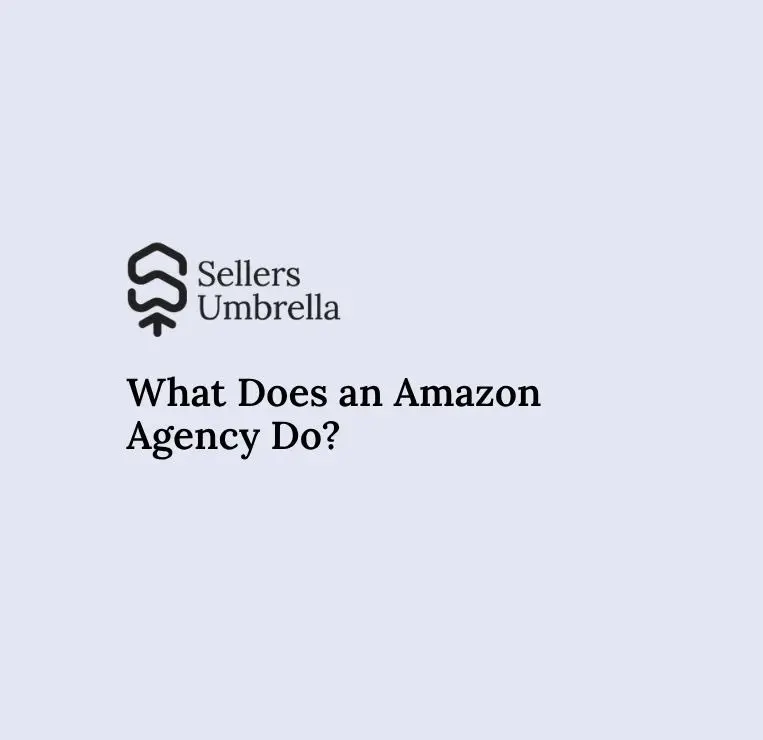 What Does an Amazon Agency Do?