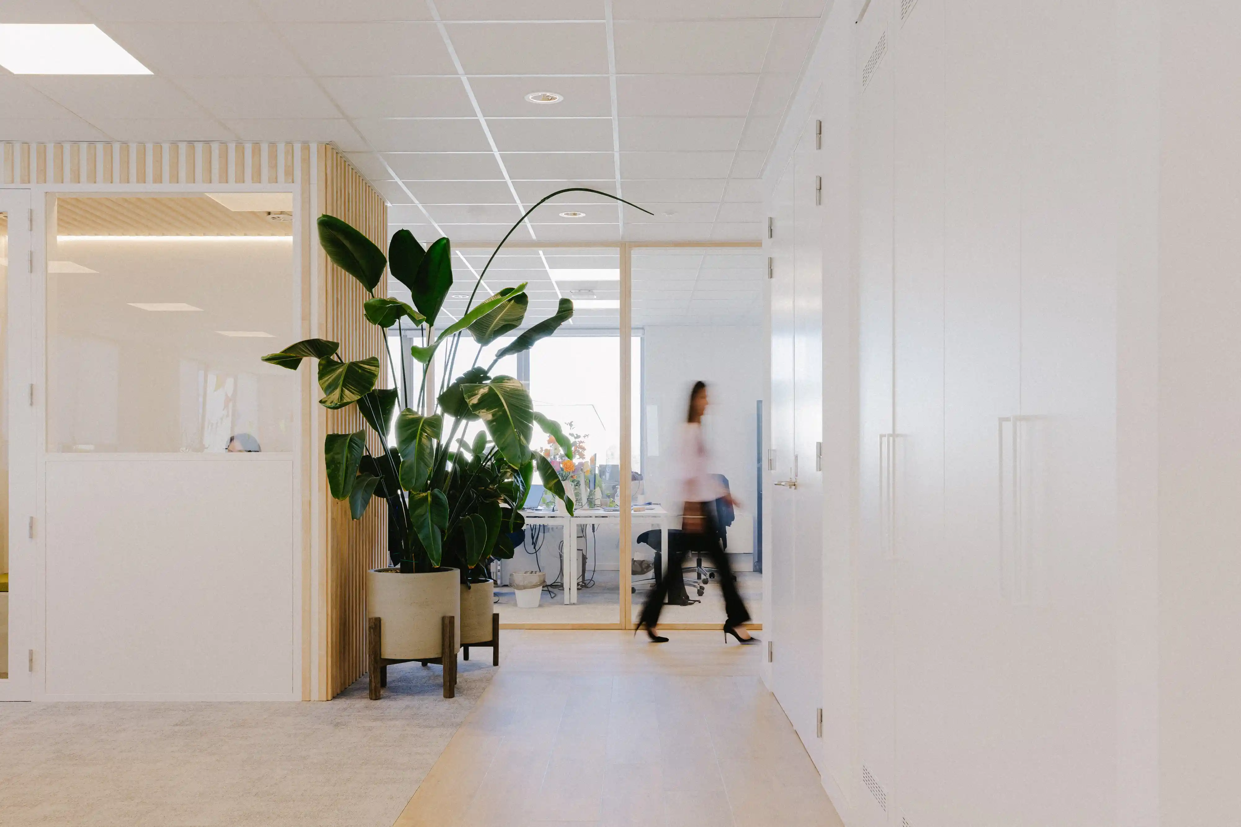 Legile office space with a professional walking through, reflecting the team's dynamic and accessible work environment