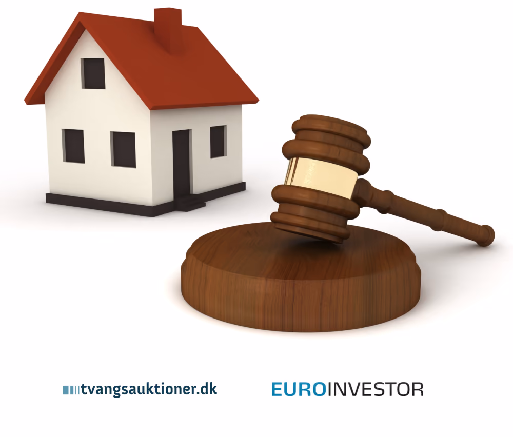 Financial advisor to the shareholder of Tvangsauktioner A/S in connection with the sale to Euroinvestor