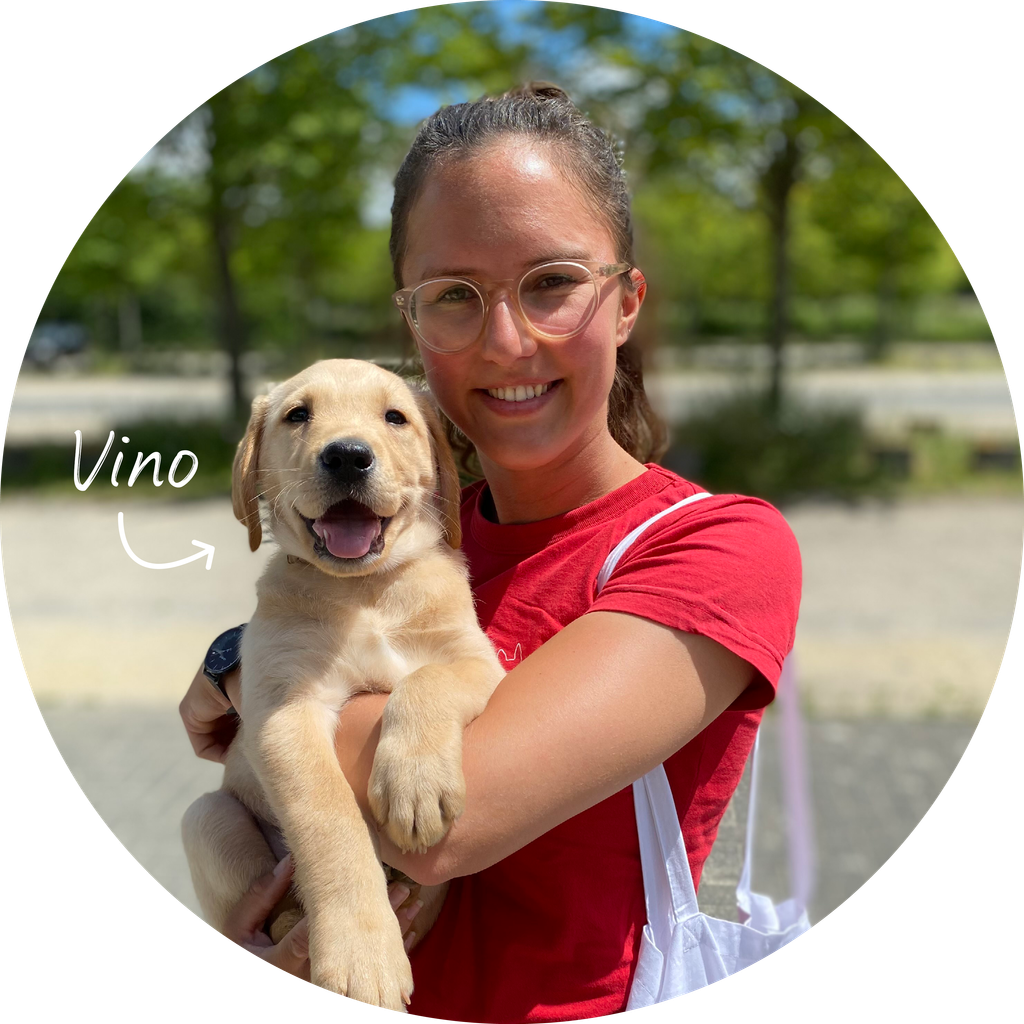 A girl holding a dog in its arm