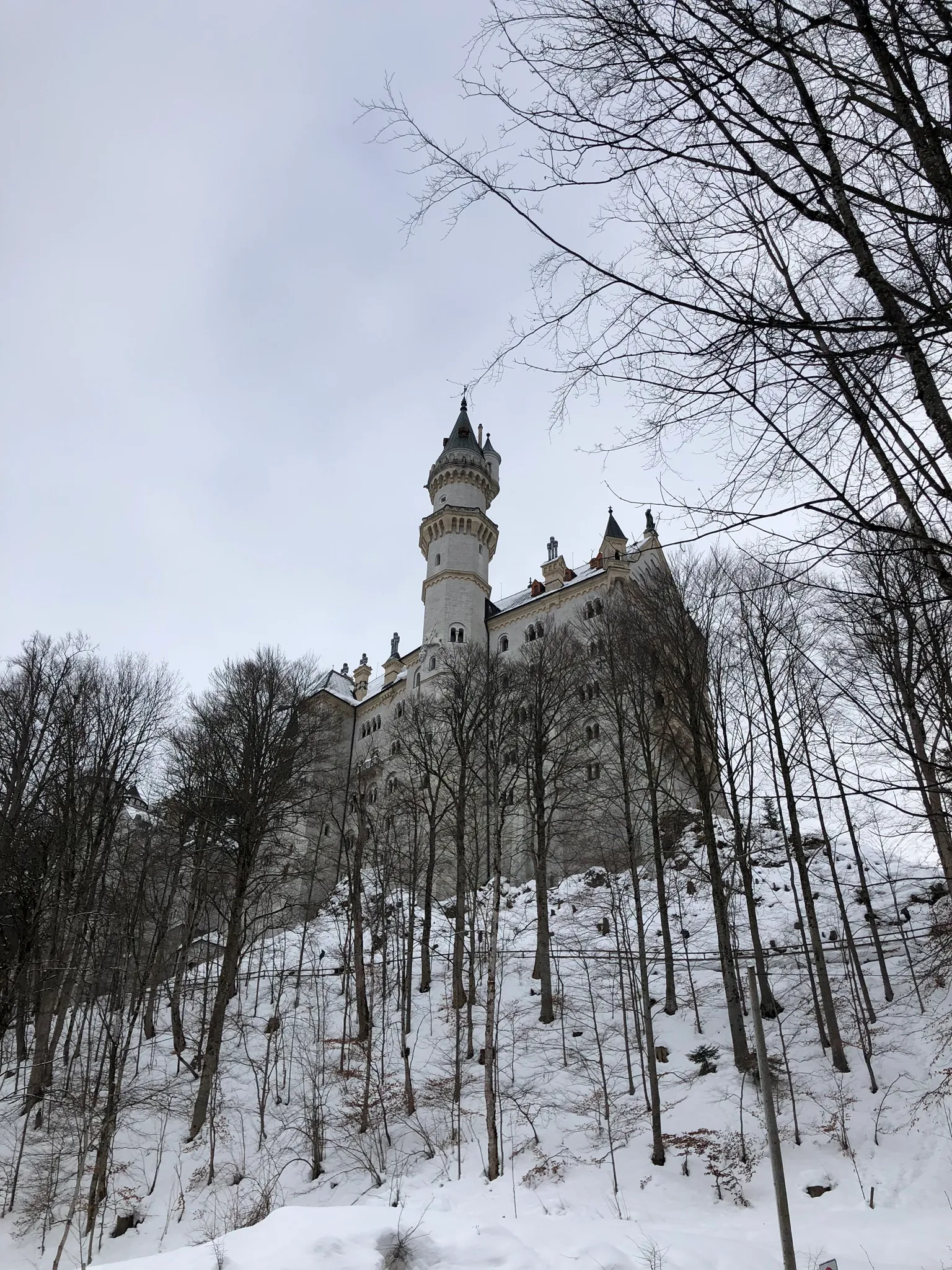 Neuschwanstein Castle towering above a snowy forest with bare trees under an overcast sky.