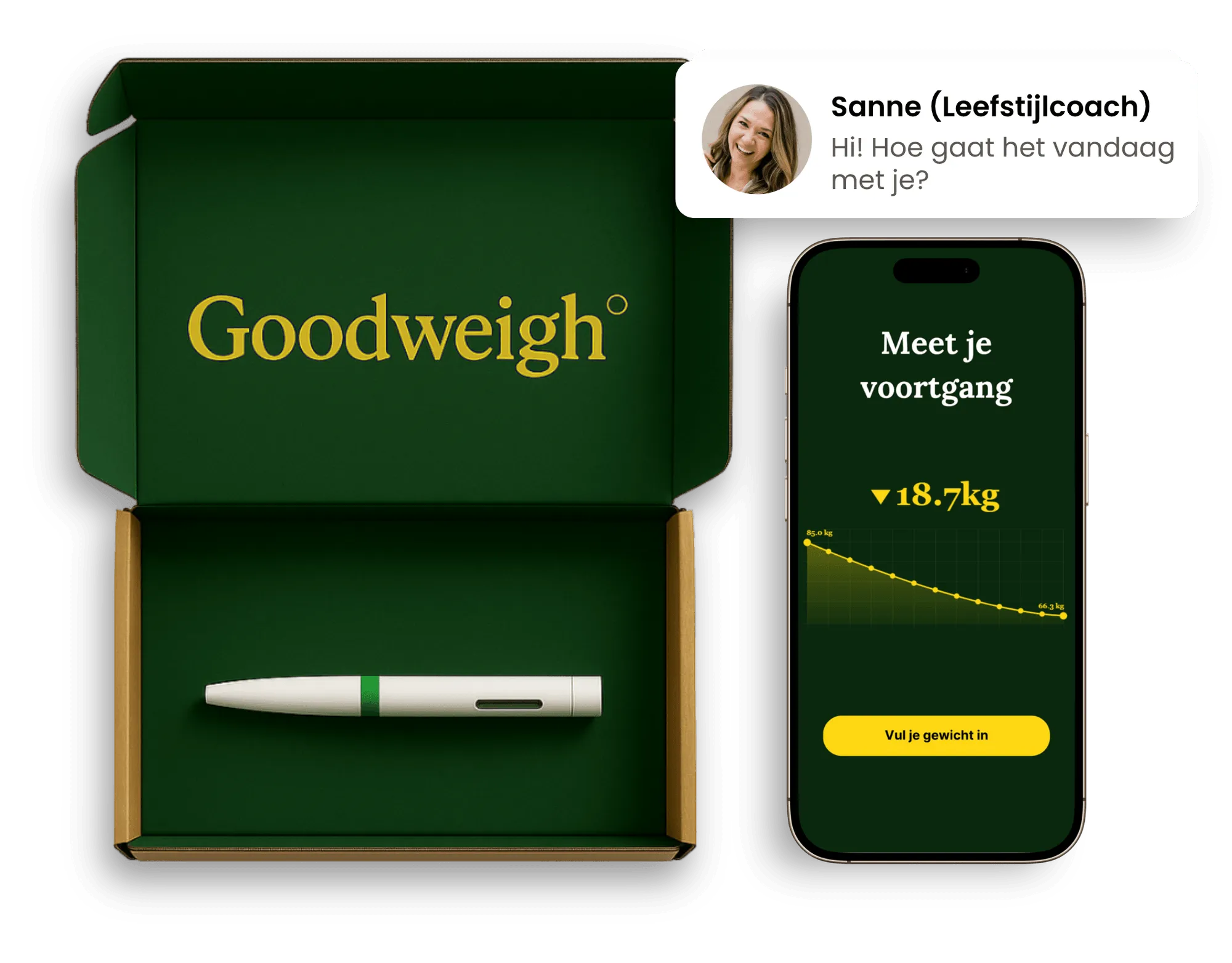 Goodweigh weight loss program