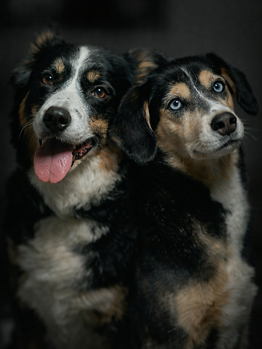 image of people working in an office setting