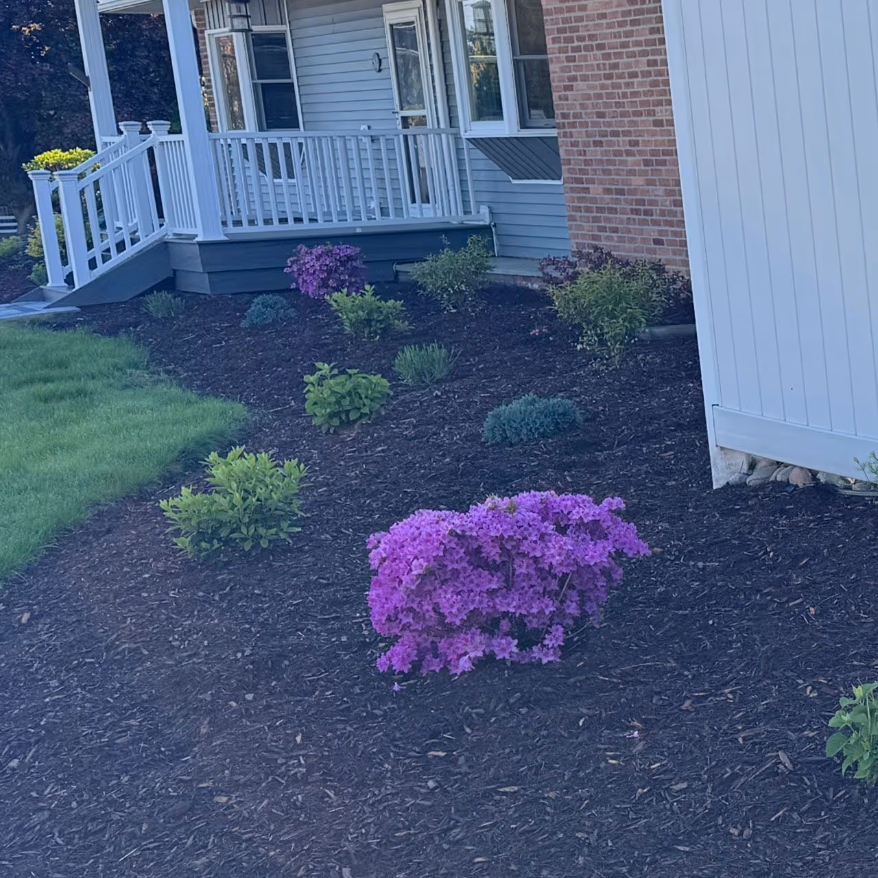 Professional landscape planting services near me