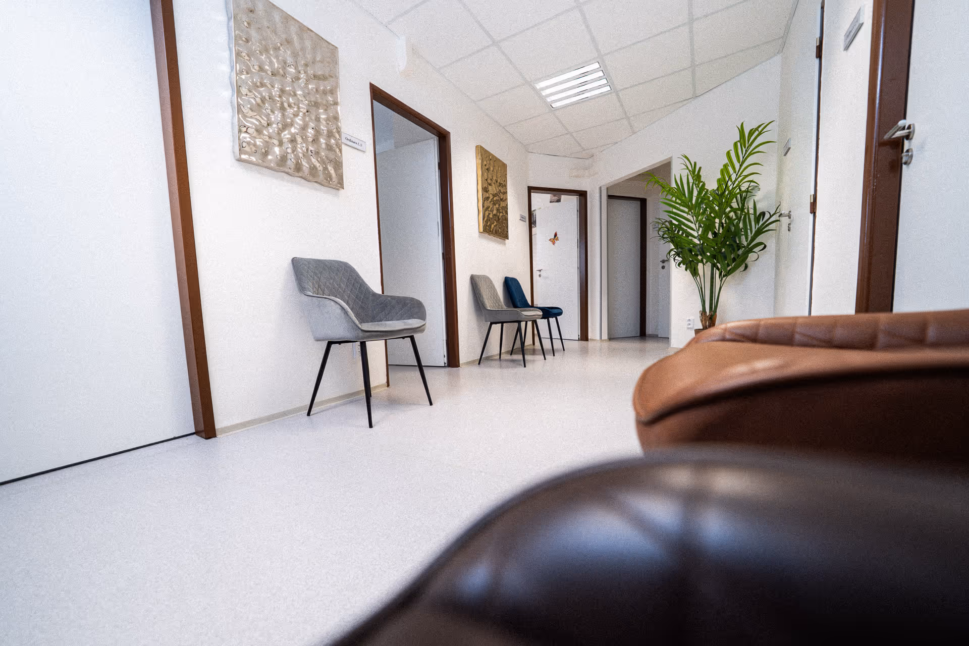 Waiting area in a corridor with gray and blue chairs, white doors, wall art, and a green potted plant.