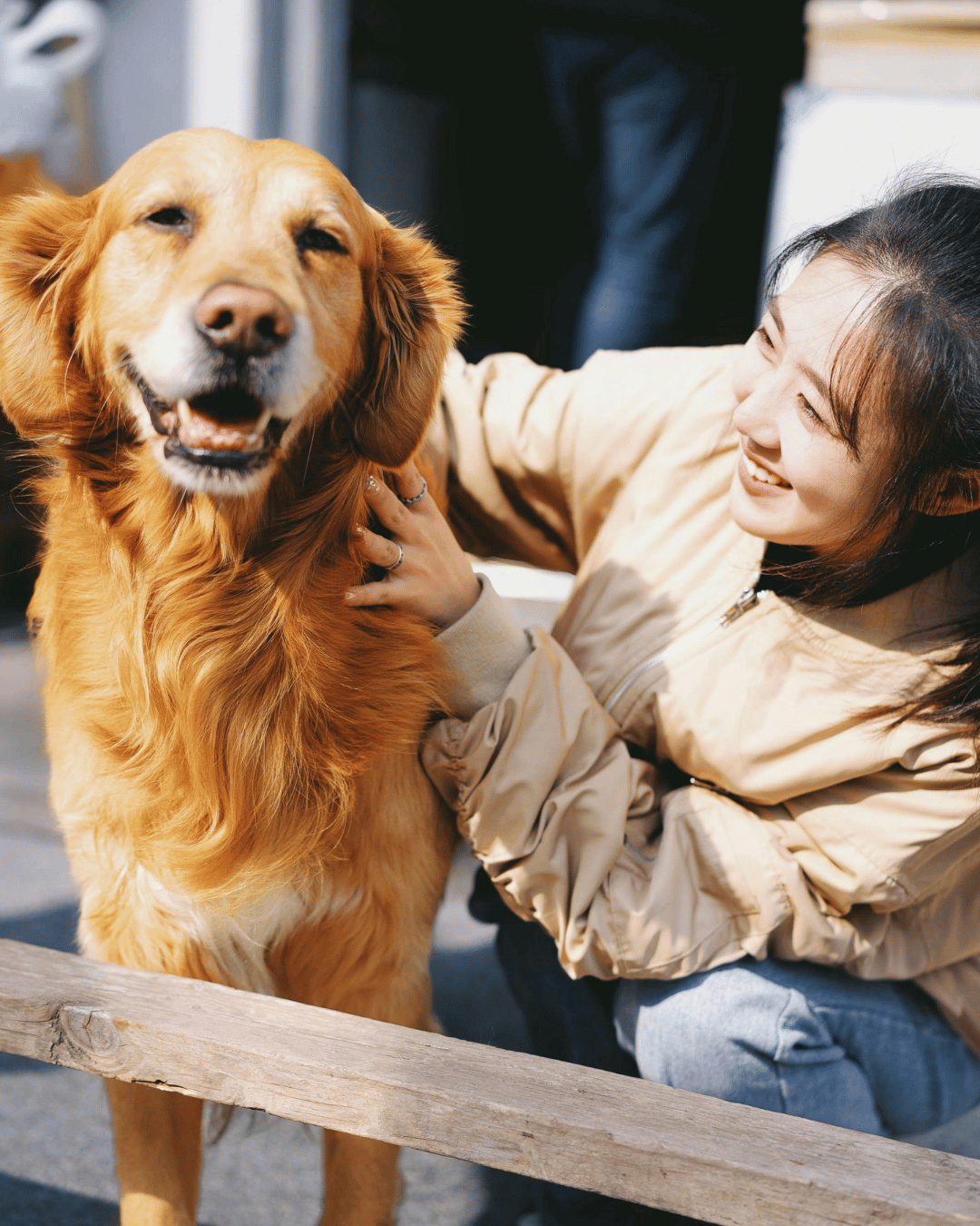 A smiling golden retriever and a woman petting him happily.