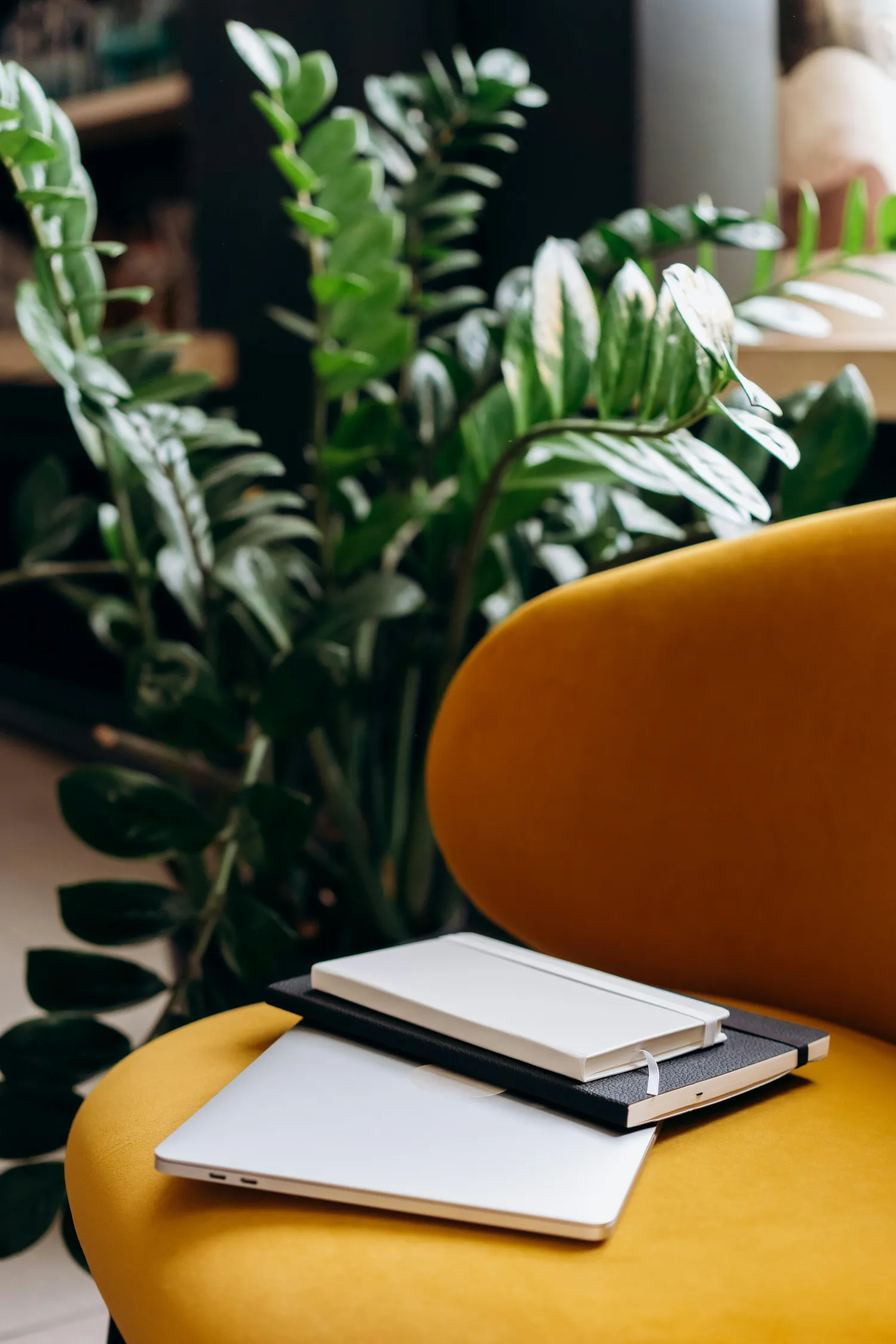 Mature man in a dark sweater reading documents in a blue folder near a window.