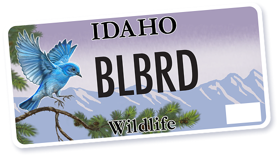 Idaho wildlife license plate with a bluebird perched on a pine branch and mountain background.