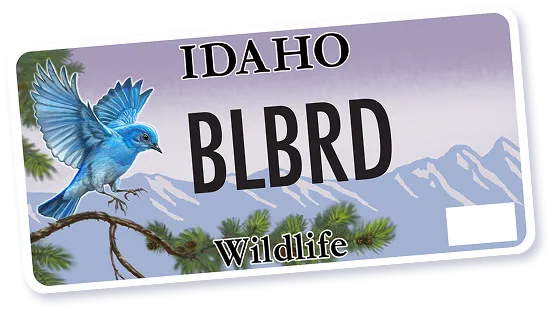 Idaho wildlife license plate with a bluebird perched on a pine branch and mountain background.