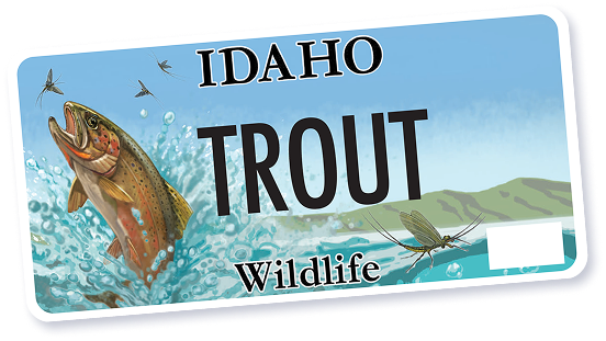 Idaho Trout wildlife license plate with image of a jumping trout and insects over water and mountains.