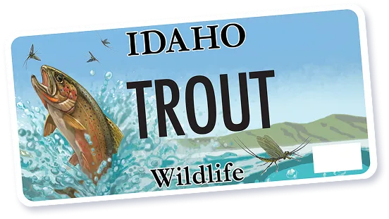 Idaho Trout wildlife license plate with image of a jumping trout and insects over water and mountains.