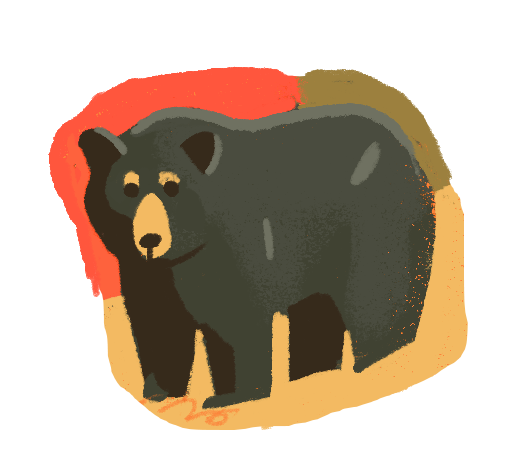 Illustration of a black bear standing on an orange and brown background.