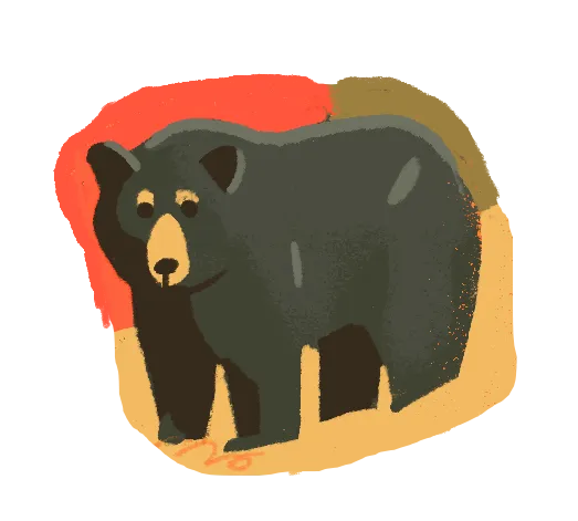 Illustration of a black bear standing on an orange and brown background.