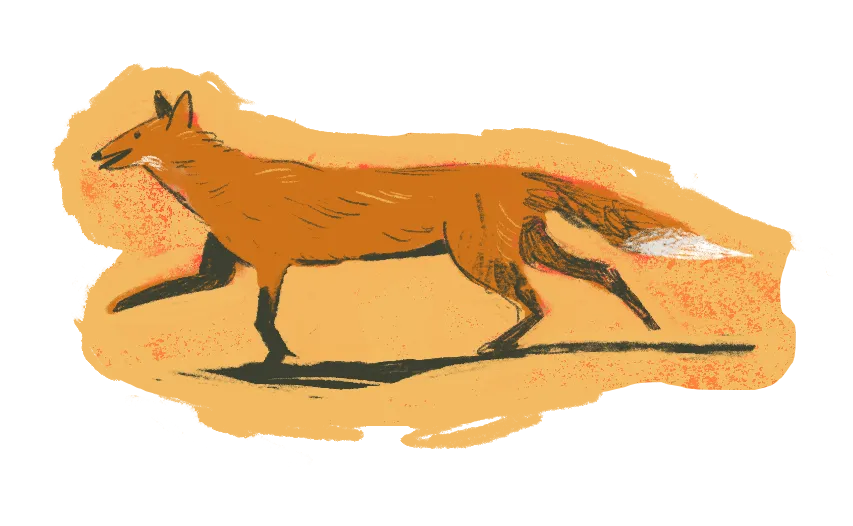 Illustration of a fox walking on an orange background with shadow beneath.