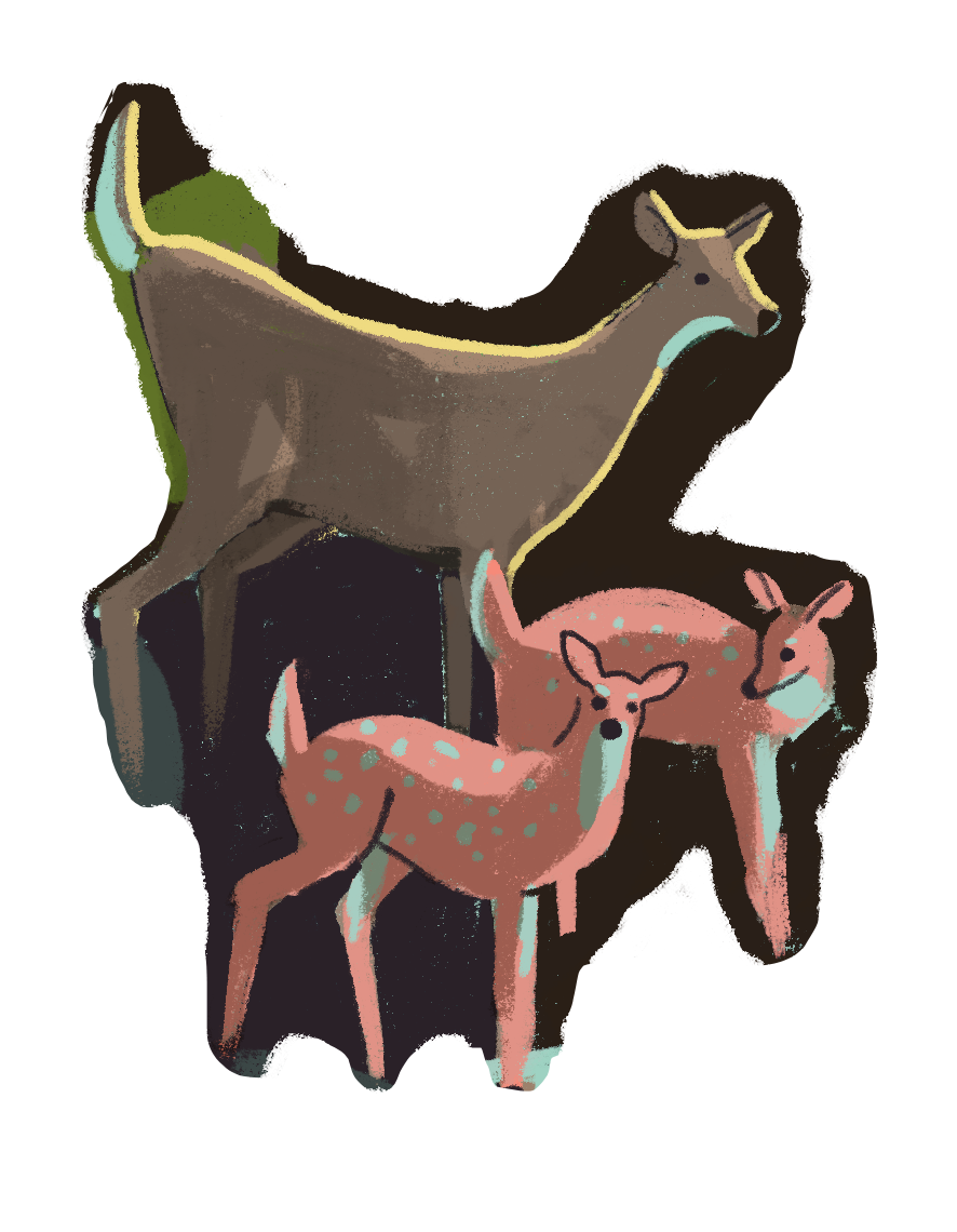 Illustration of a doe and two fawns standing near water with dark background.