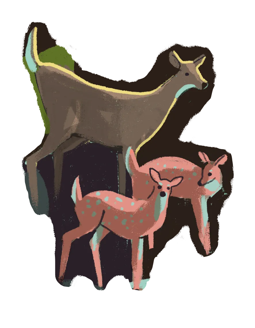 Illustration of a doe and two fawns standing near water with dark background.