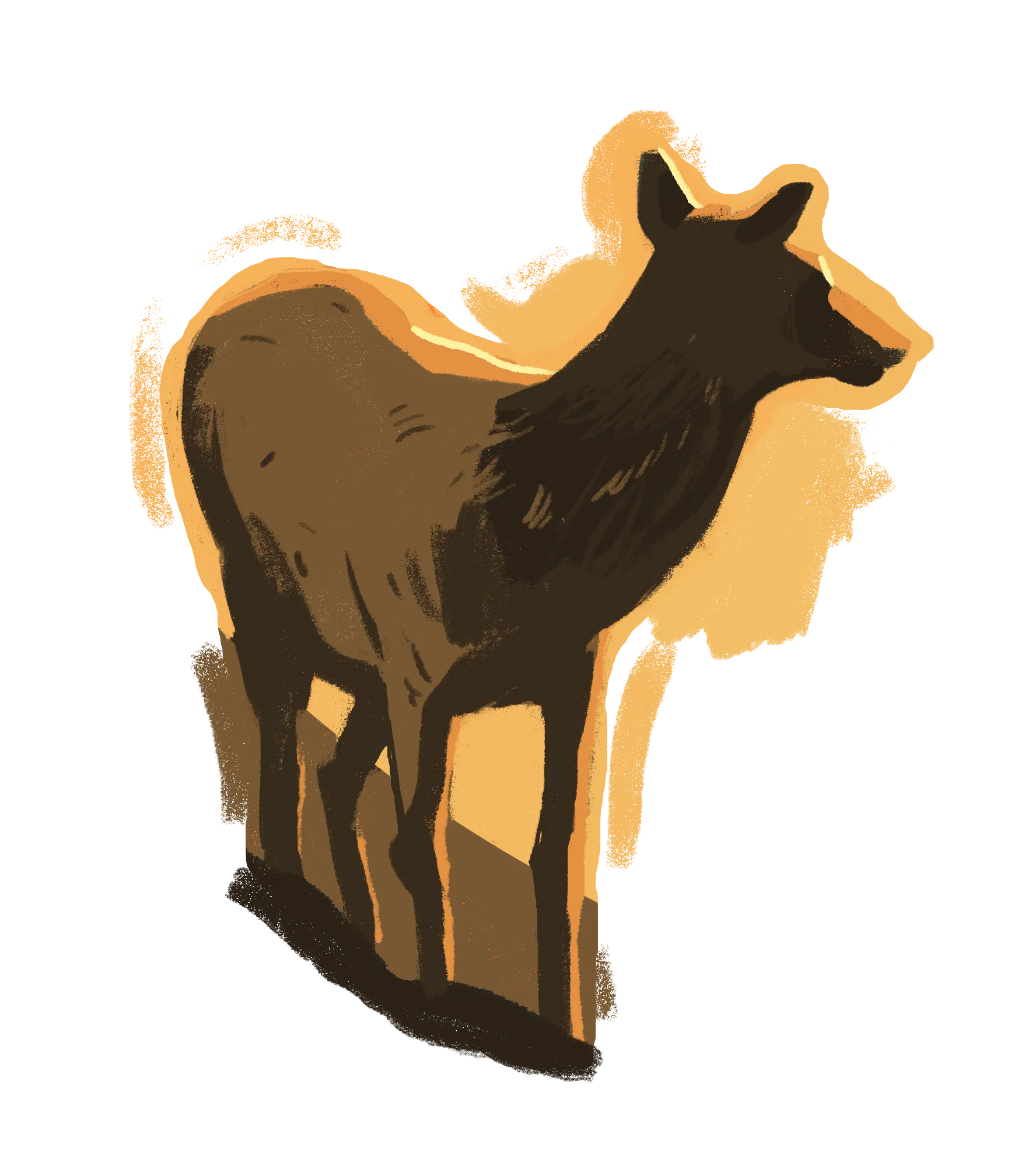 Illustration of a brown elk standing and looking to the right.