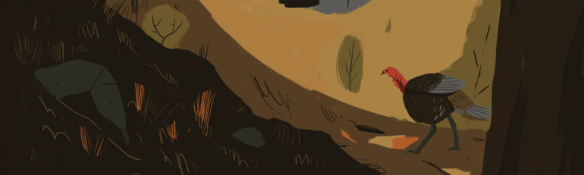 Stylized graphic of a wild turkey in the timber. We partner with Idaho Fish and Game and local organizations to restore the forest floors and nesting covers essential for Idaho’s iconic upland bird populations.