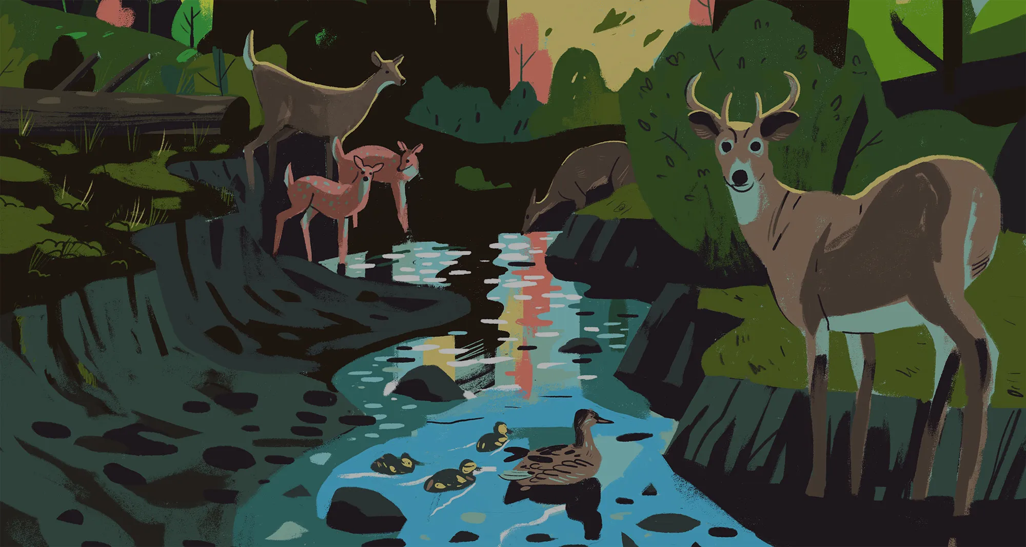 An artistic illustration of a thriving Idaho stream where deer and waterfowl coexist. This graphic embodies our foundation’s mission to protect the vital waterways and riparian zones that serve as the lifeblood for all of Idaho's wildlife, from game species to migratory birds.