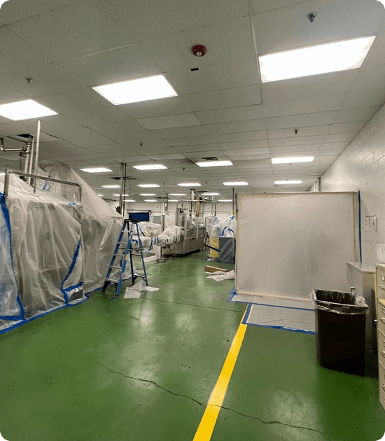 What Mold Damage Looks Like in Commercial Buildings img