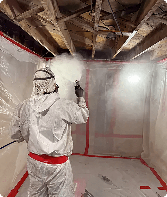 Common Commercial Mold Sources (and How It Starts) img