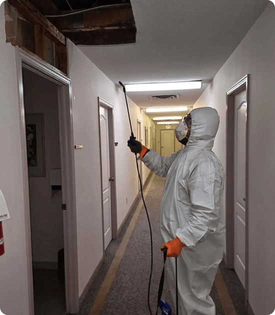 Why Professional Commercial Mold Remediation Matters img