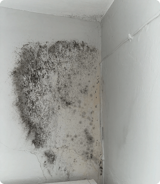 Common Mold Scenarios and Severity Levels img
